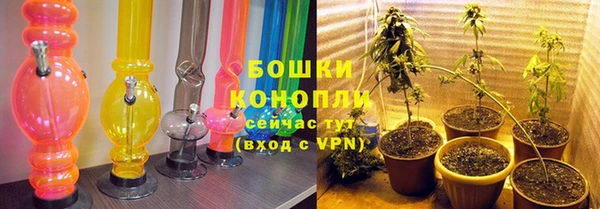 тгк Дмитровск