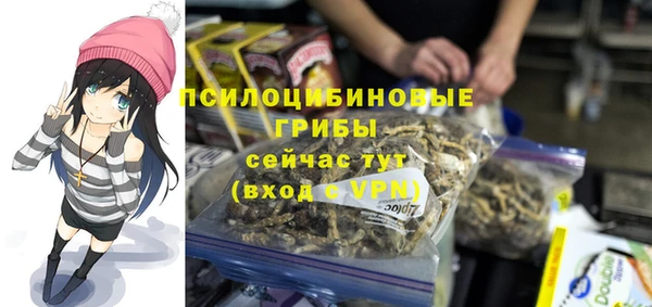 ALPHA-PVP Дмитриев