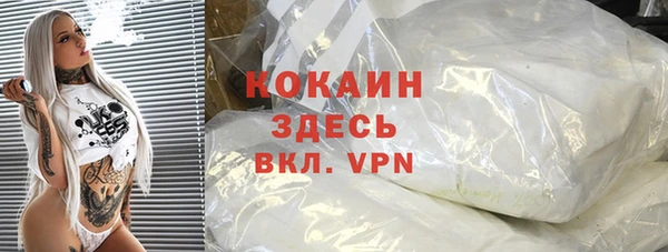 тгк Дмитровск