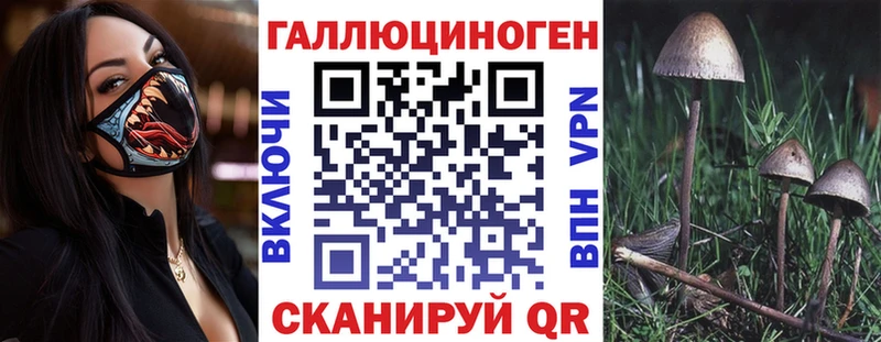 Псилоцибиновые грибы MAGIC MUSHROOMS  Купить закладки  Морозовск 